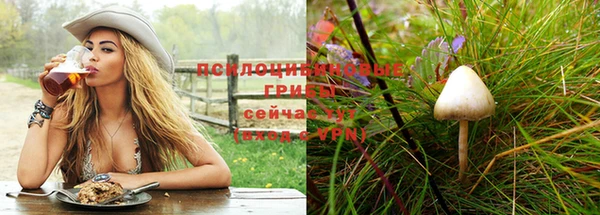 бутират Новодвинск