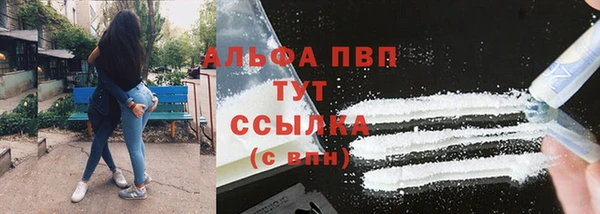 jwh Новозыбков