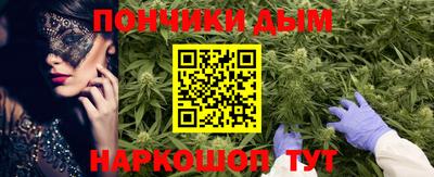 индика Заводоуковск