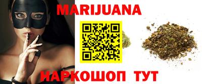 индика Заводоуковск