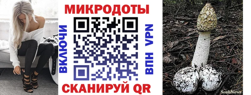 дарнет шоп  Россошь  Галлюциногенные грибы ЛСД 