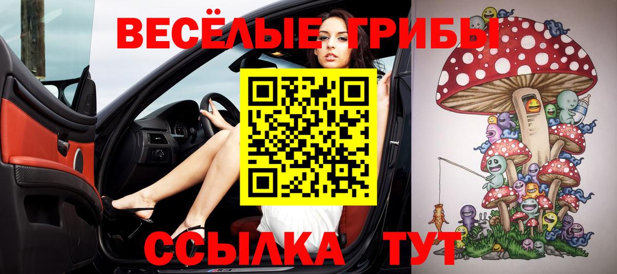 Галлюциногенные грибы Cubensis Россошь