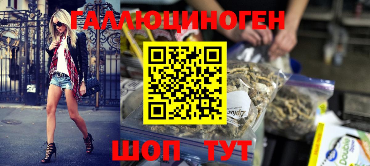 Галлюциногенные грибы GOLDEN TEACHER  Вход с VPN  Россошь  Галлюциногенные грибы Cubensis 