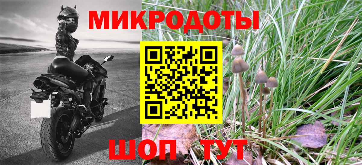 Галлюциногенные грибы Magic Shrooms  Россошь  Псилоцибиновые грибы Psilocybine cubensis 
