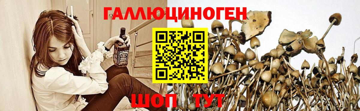 Галлюциногенные грибы Magic Shrooms Россошь